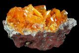 Wulfenite Crystal Cluster - Rowley Mine, AZ #76833-1
